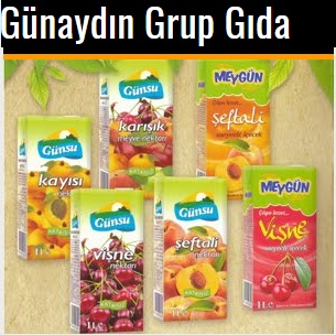 Gunaydingida  شركة 