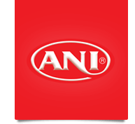 Anı Bisküvi Company