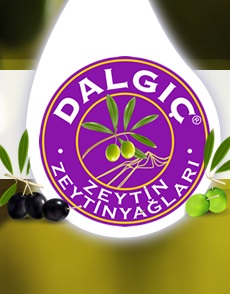 DALGIÇ