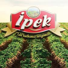 ipek salca