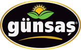 Günsaş