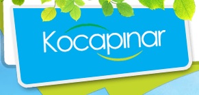 Kocapinarsu