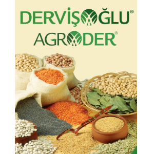 Dervişoğlu