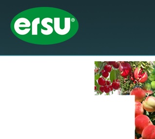 Ersu Meyve Suyu