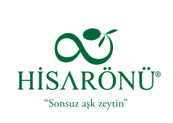 HİSARÖNÜ